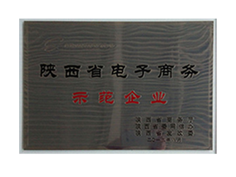 陜西省電子商務(wù)示范企業(yè)